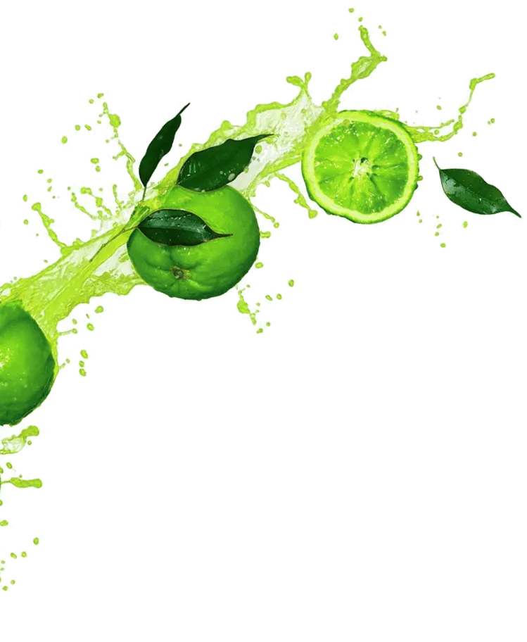 Green Juice suc pentru pierderea în greutate în Moldova